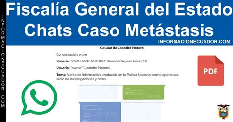 Descargar Chats Caso Met Stasis Fiscal A General Del Estado