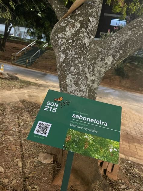 Placas de identificação de árvores