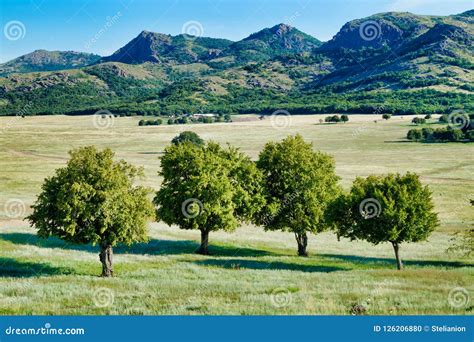 Image With Trees Plains And Mountains In The Distance Stock Photo