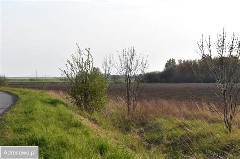 Działka Godzikowice bez pośrednika 1 ha