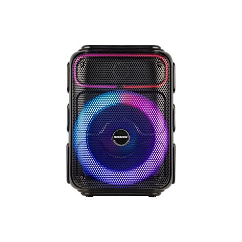 Temeisheng Langting 8inch Portable Speaker With Bluetooth Tws China