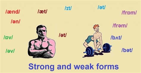 Common Words With Weak Forms Esltips Au