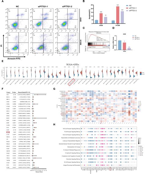 Frontiers Identification And Validation Of Tryptophan Related Gene