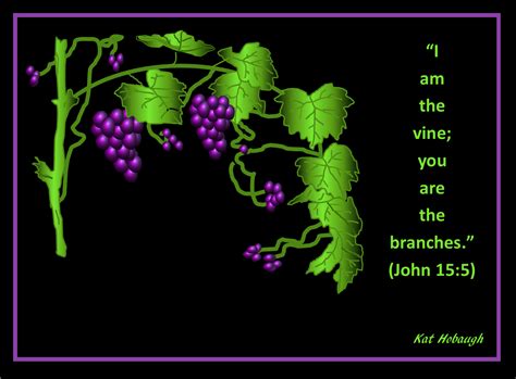 I Am The Vine You Are The Branches Church Bulletin Boards Church