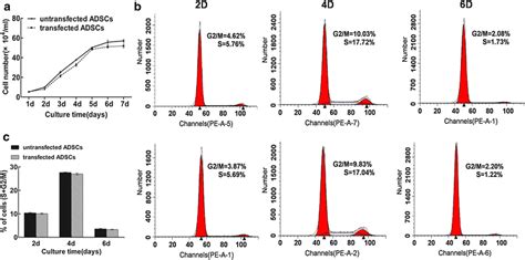 Comparison Of Cell Proliferation Between Transfected Adscs And Download Scientific Diagram