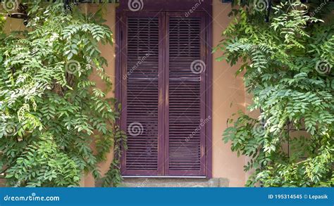 Las Viejas Persianas De Madera Cerradas De La Casa Al Lado De Los