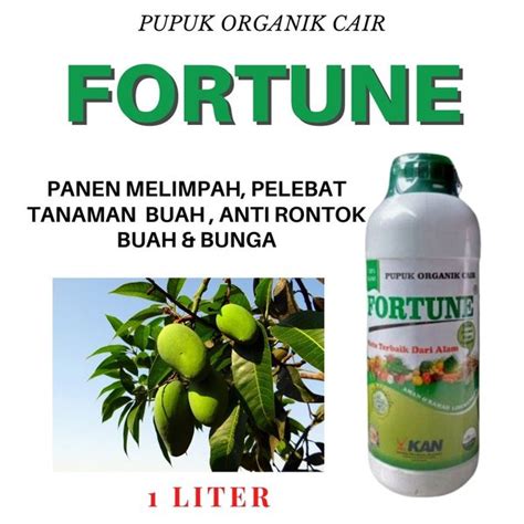 Jual Pupuk Booster Mangga Pupuk Pelebat Perangsang Pembesar Buah