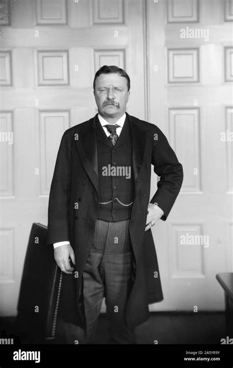 President Theodore Roosevelt Th President Of The United