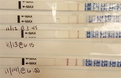 Yippee! First time using OPKs, caught my surge!! Wondfo CD14 : r