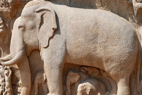 Photo Art Print Bas Relief Rock Cut Sculptures Of Elephant Are Carved