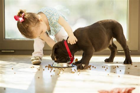 Tener un perro en casa mejora el desarrollo social y emocional de los niños