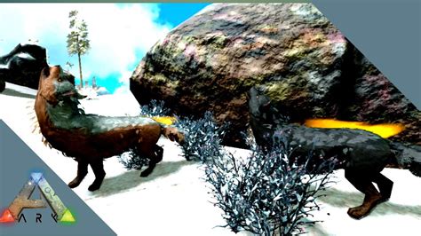 Taming This Dire Wolf Will Give Me More Power Ep Ark Survival