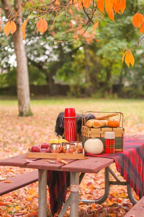 How To Host An Easy Autumn Picnic This Celebrated Life Fall Picnic Fall Picnic Food Picnic