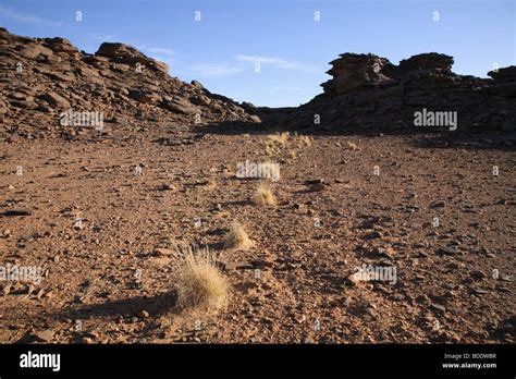 The Adrar Mountains Near Terjit Oasis In The Sahara Desert Of Eastern