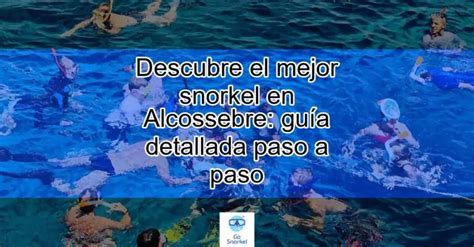 Donde Hacer Snorkel En Alcossebre Actualizado Diciembre 2024