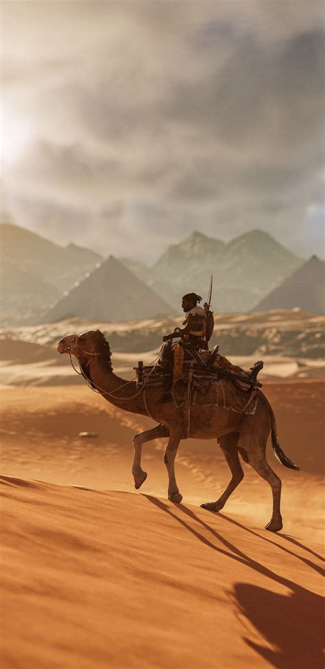 1440x2960 Camel Assassins Creed Origins 8k Samsung Galaxy Note 9 8 S9 S8 S8 Qhd Hd 4k