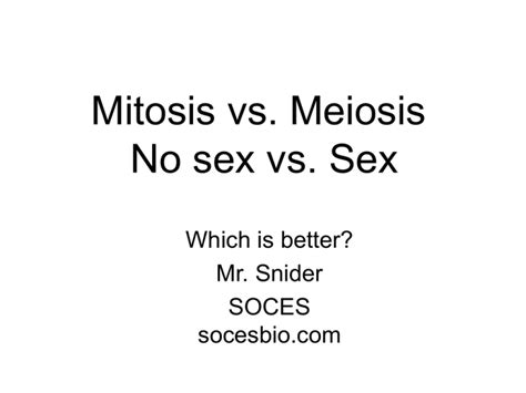 Mitosis Vs Meiosis Sex Vs No Sex