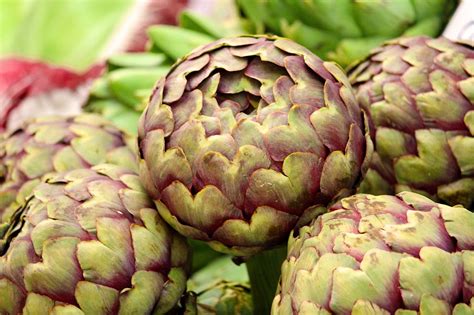 200 000 Free Artichoke Plants Artichoke Photos Pixabay