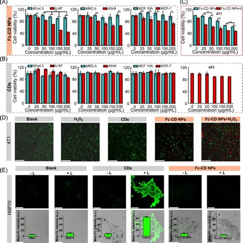 A CLSM Images Of Five Kinds Of Cell Lines Treated With FcCD NPs