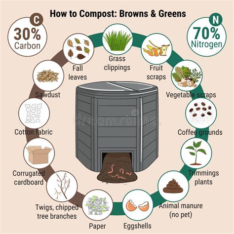 Infográfico Da Lixeira De Compostagem Do Jardim Com Restos O Que