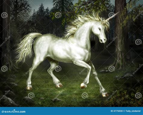 Graceful Unicorn In The Forest Stock Illustration Illustration Of