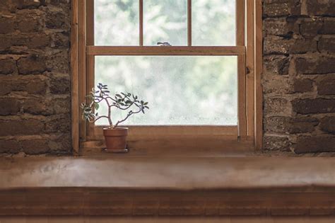 Window Houseplant Plant Free Photo On Pixabay Pixabay