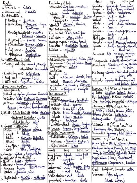 MORPHOLOGY Examples | PDF