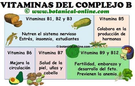 Propiedades De Las Vitaminas Del Grupo B Vitaminas Y Minerales