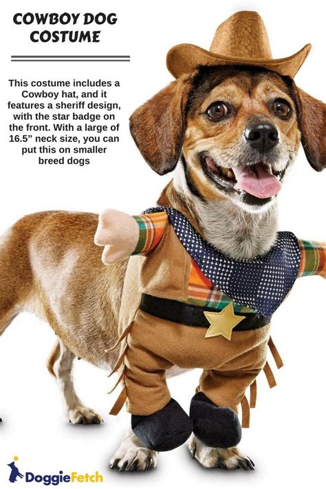 10 Dog Halloween Costume Ideas For 2020 Doodles Daily Cowboy Dog