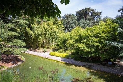 Premium Photo | Pond in a japanese garden