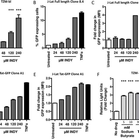 The Effect Of Dyrk A Inhibition And Downregulation Is Mediated Via