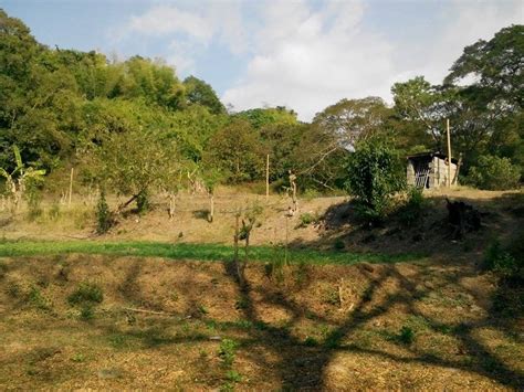 For Sale Farm Lot In La Union Ilocos Philippines Bauang With 6