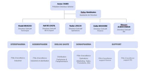 Dislog Group Boucle Les Acquisitions De Steripharma Et Somapharma