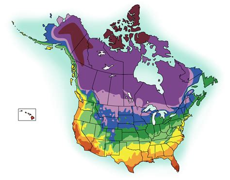 Plants by Climate - Proven Beauty