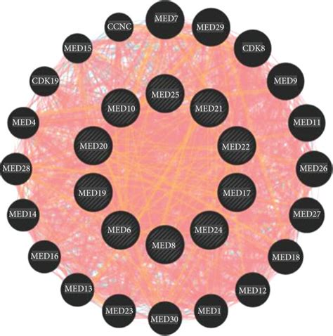 Systemic Analysis Of Genetic Alteration Coexpression Correlation And