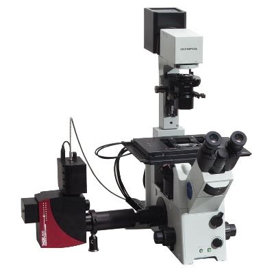 Confocal Microscope from Thorlabs : Get Quote, RFQ, Price or Buy