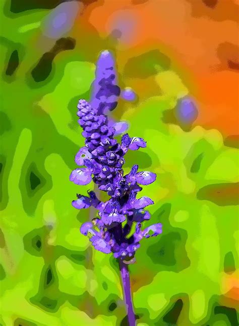 Bright Lavender Photograph By Sheri Mcleroy Fine Art America