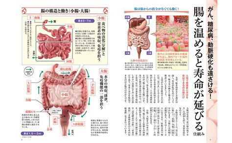 楽天ブックス 腸を温めれば寿命が延びる 不調が消える 名医が教える最強の腸活 松生 恒夫 9784299048813 本