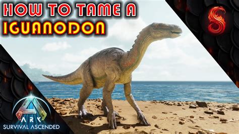 ARK SURVIVAL ASCENDED HOW TO TAME A IGUANODON YouTube