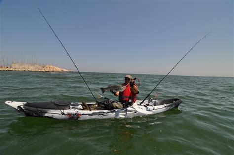 Comodidad Y Seguridad En Nuestras Jornadas De Pesca En Kayak Revista