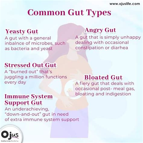 Common Gut Types Happy Gut Health And Wellness Coach Gut Health