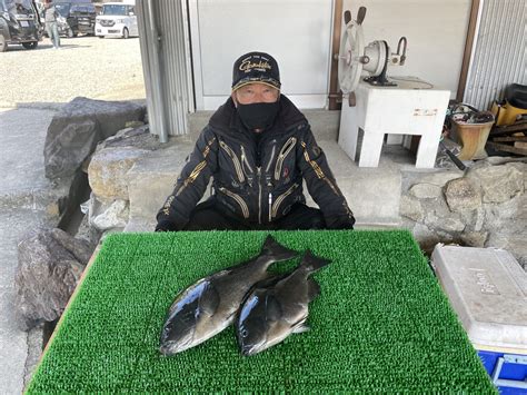 磯釣りでグレ47㎝まで2枚・ゲット！ 一栄丸渡船｜三重県紀北町