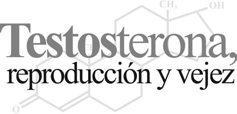 Testosterona ReproducciÓn Y Vejez Dirección De Comunicación De La Ciencia