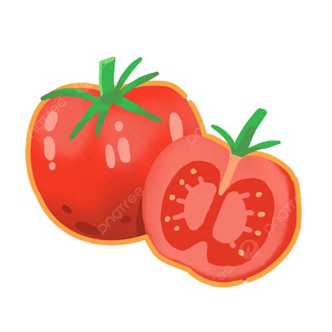 Tomate Cortado Ilustração Dos Desenhos Animados Estilo Bonito Png