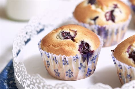 Receta Muffins De Arandanos F Ciles Recetas Nestl