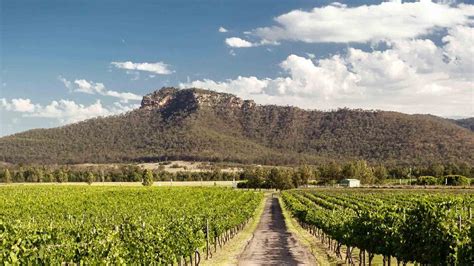 Private Hunter Valley Wine Tasting Tour Epic Deals And Last Minute