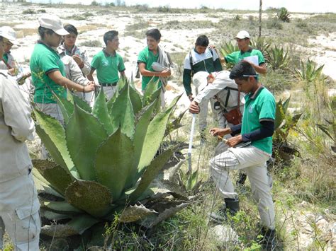 Educación Sistema Nacional de Información Forestal