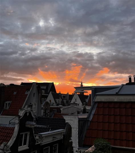 Ryleigh Hodgins | The Amsterdam vlog is FINALLY up on my YT channel 😅