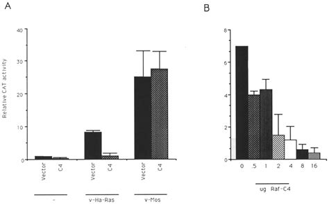 Raf 1 Is Necessary For Trans Activation By V Ha Ras A NIH 3T3 Cells