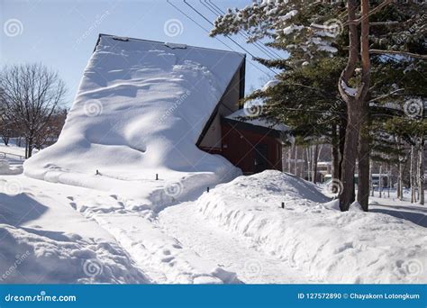 Asahiyama Zoo, Asahikawa, Hokkaido, Japan Editorial Image - Image of ...